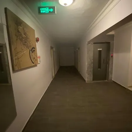 Baskent ディディム