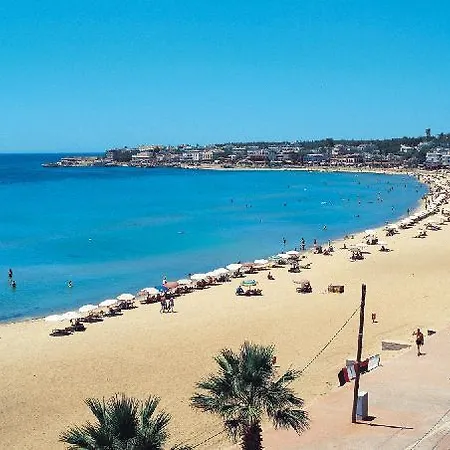 ホテル Baskent ディディム